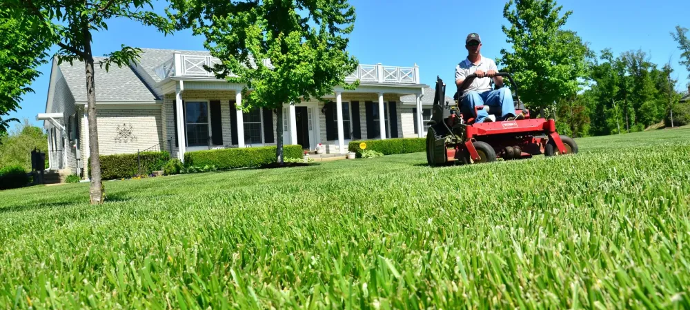 Cut lawn discount short in spring